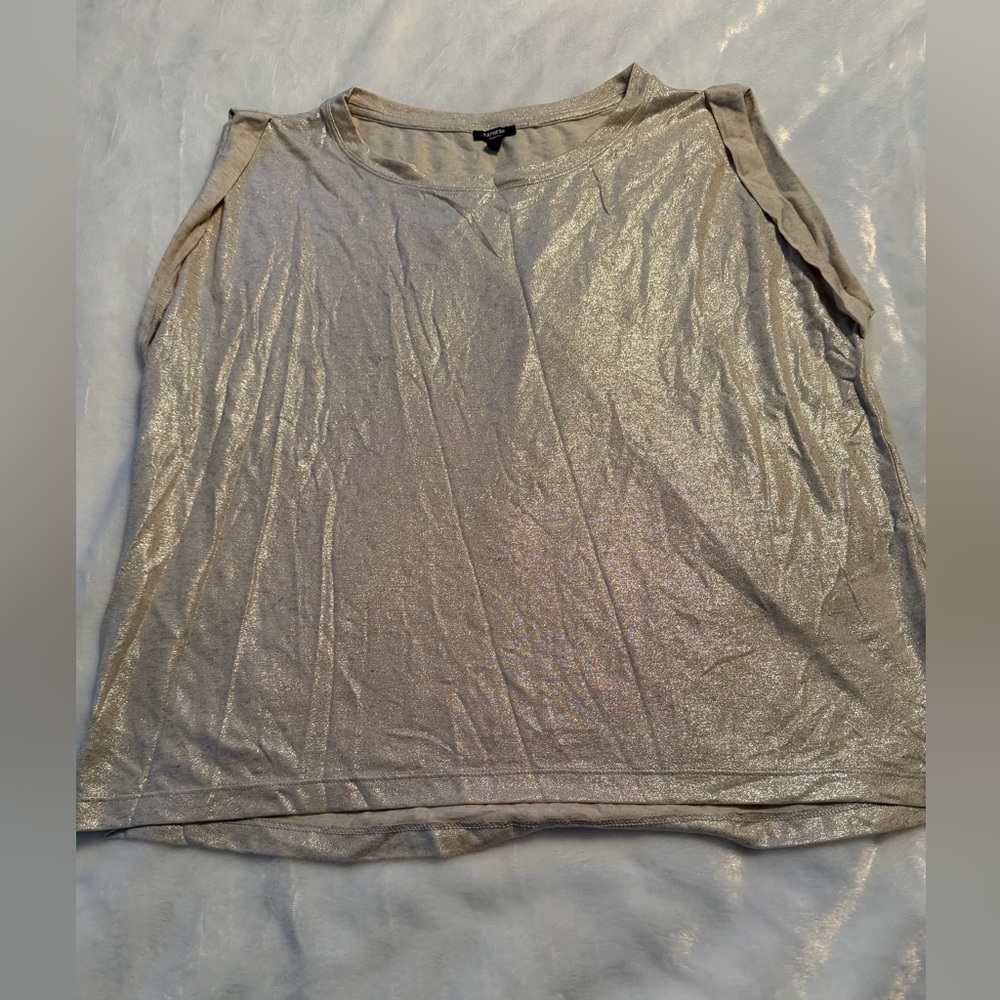 Express Shimmering Women's Top